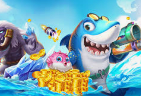 开元国际67ky2024最新版